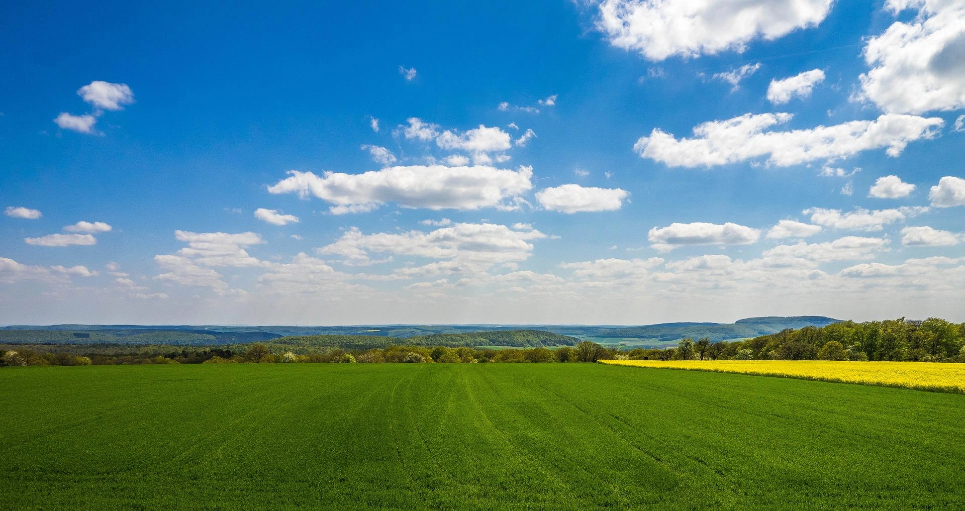 VR-Energie-Immo Energieberatung