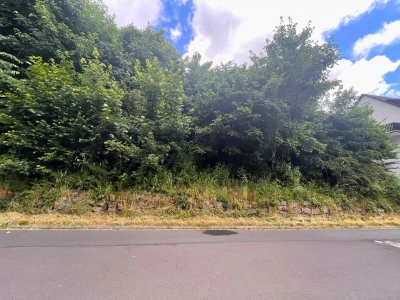Immobilien Bild