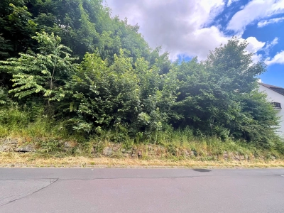 Immobilien Bild