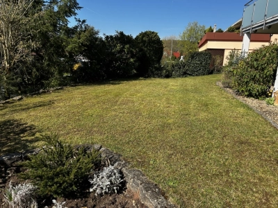 Garten vor dem Haus